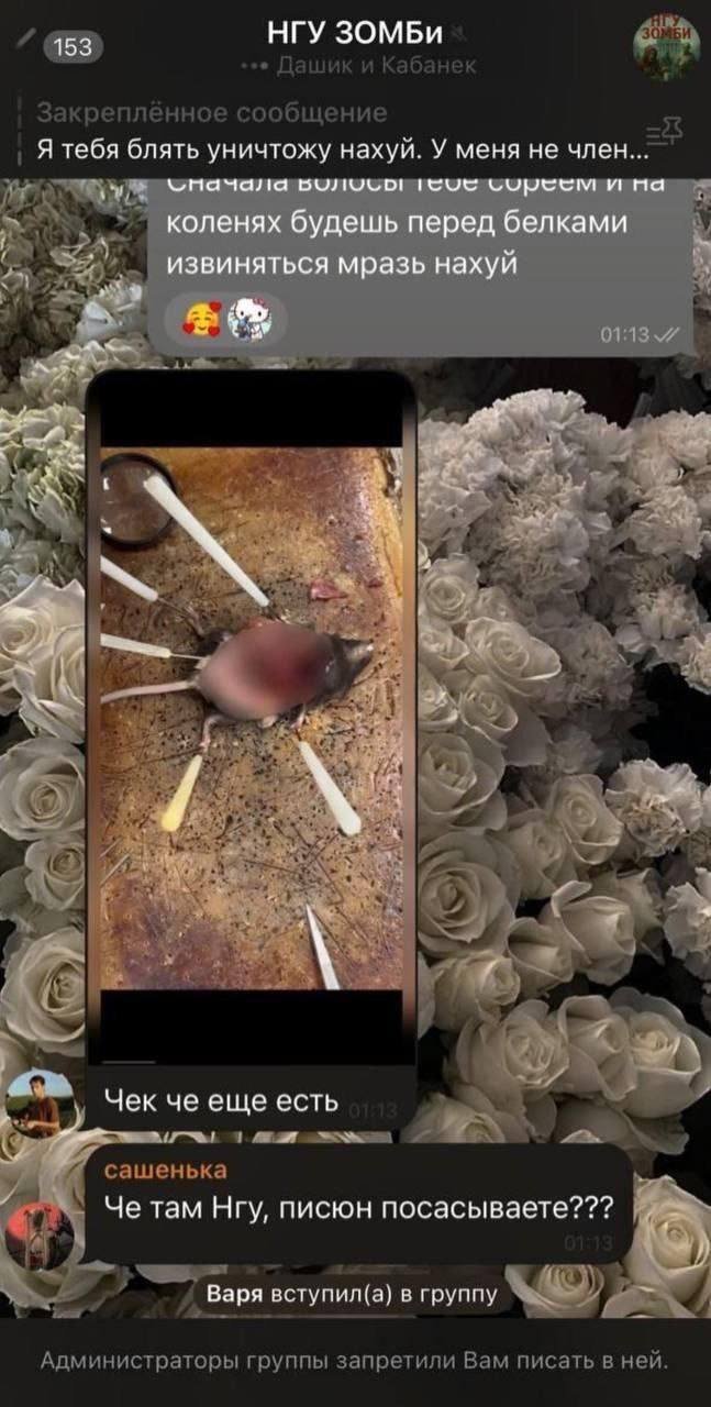 В Новосибирске студенты НГУ расчленили и съели белку