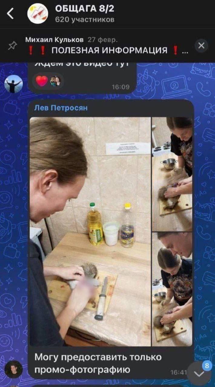 В Новосибирске студенты НГУ расчленили и съели белку