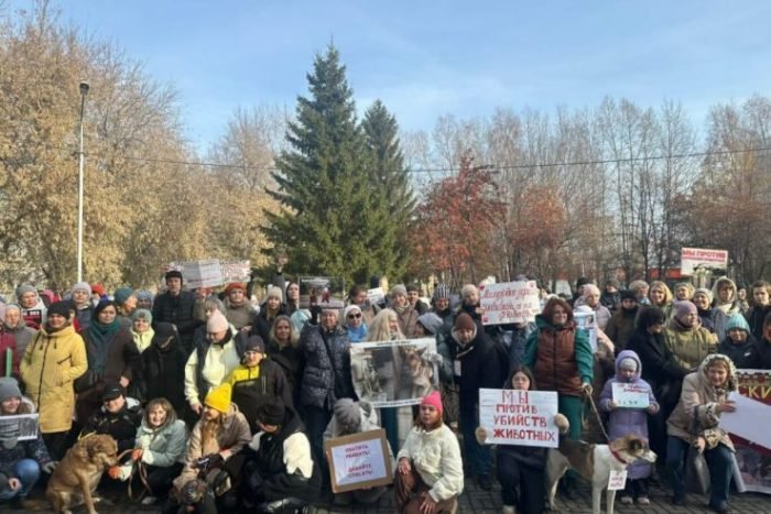 В Новосибирске прошел митинг против эвтаназии животных