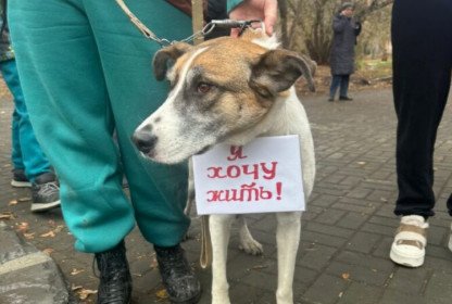 В Новосибирске прошел митинг против эвтаназии животных