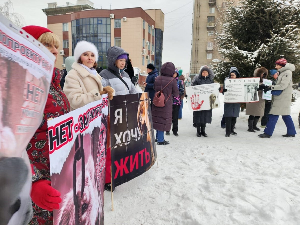 Около 100 человек вышли на митинг в Новосибирске