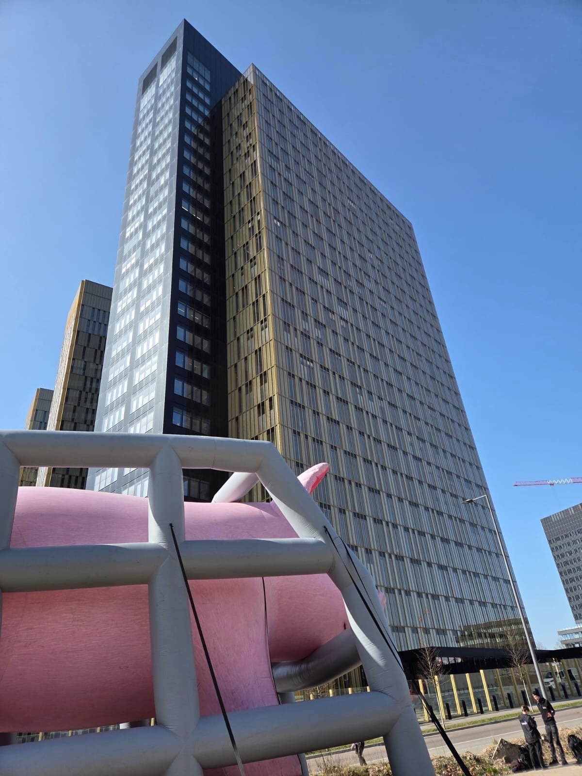 Исторический иск в Люксембурге: Зоозащитники против Еврокомиссии за «бумажные» обещания