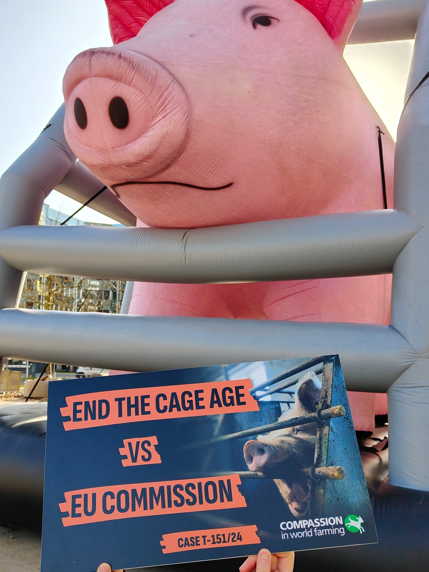 Исторический иск в Люксембурге: Зоозащитники против Еврокомиссии за «бумажные» обещания