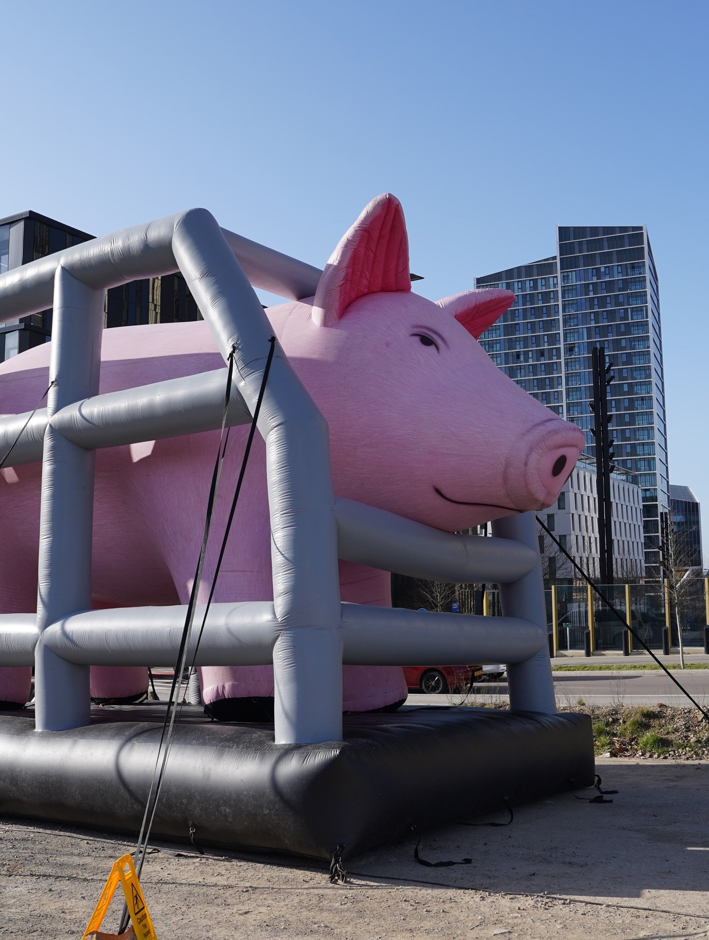 Исторический иск в Люксембурге: Зоозащитники против Еврокомиссии за «бумажные» обещания