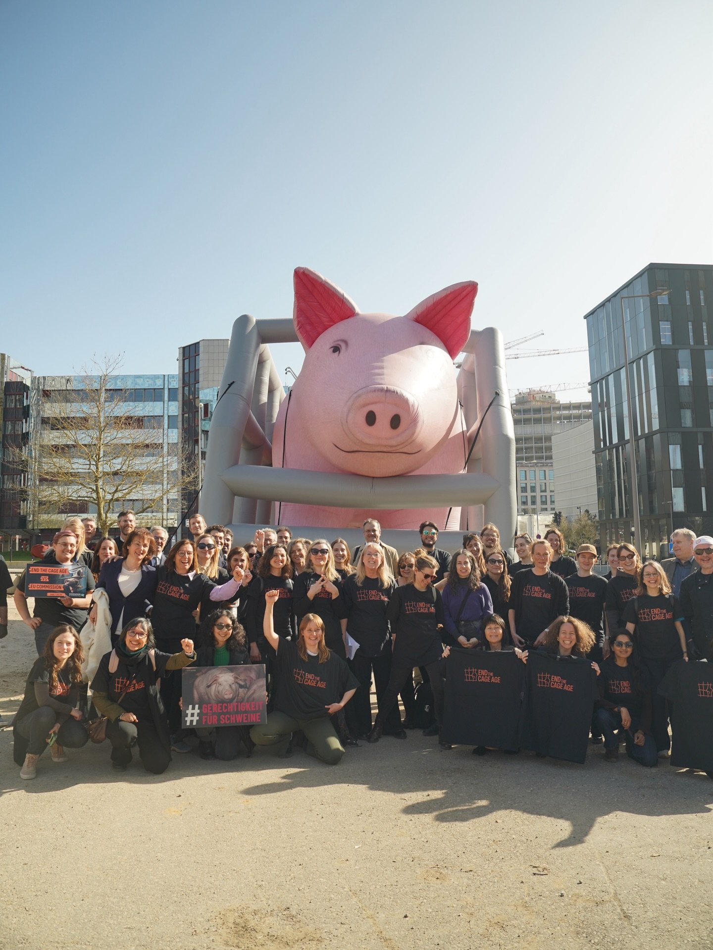 Исторический иск в Люксембурге: Зоозащитники против Еврокомиссии за «бумажные» обещания