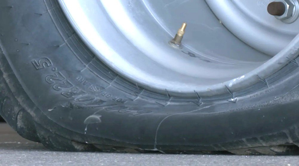 ALF нанес ущерб в размере $40,000 ферме в штате Юта